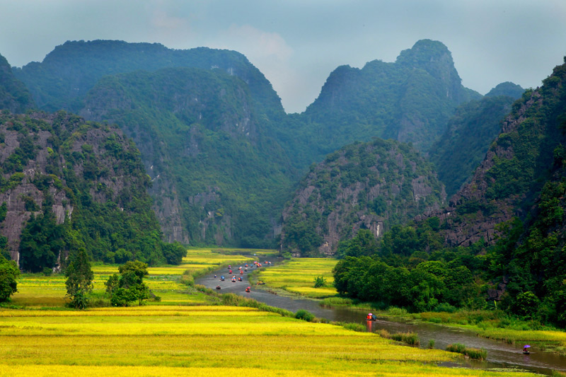 [-]Khách[-]Tây[-]ngỡ[-]ngàng[-]trước[-]vẻ[-]đẹp[-]Tam[-]Cốc[-]mùa[-]lúa[-]chín